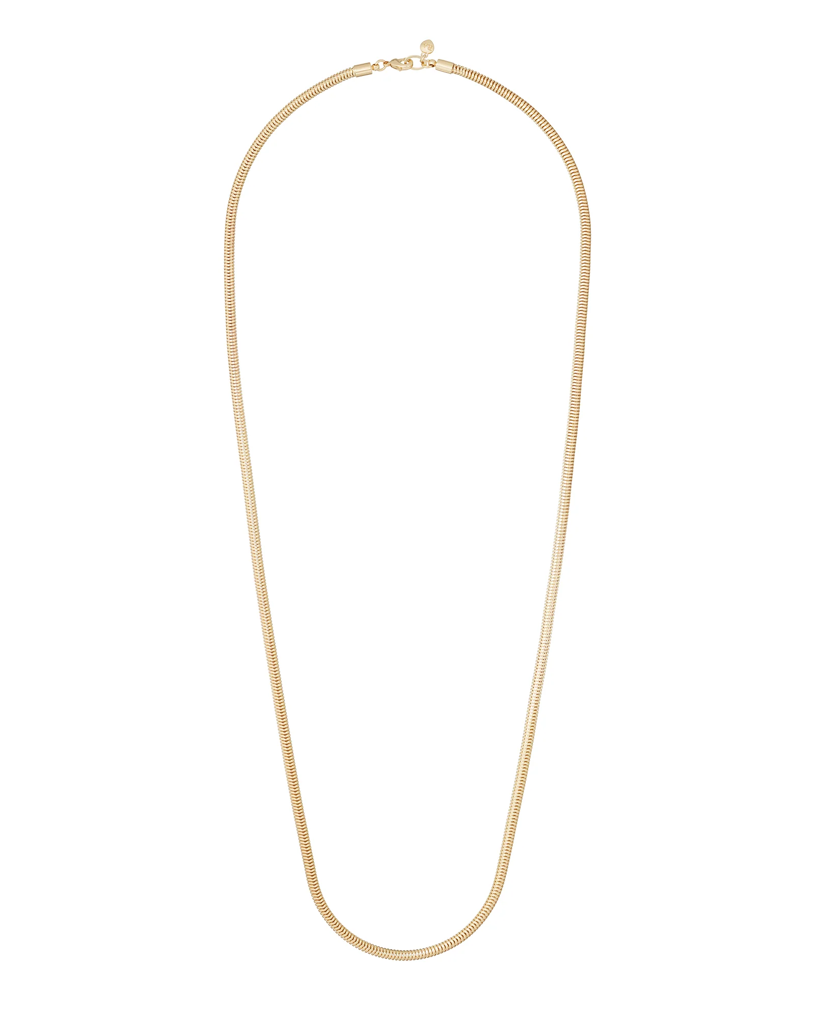 The Long Snake Chain Necklace